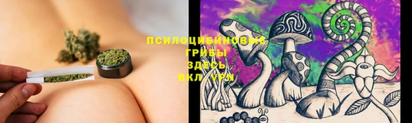 apvp Белокуриха