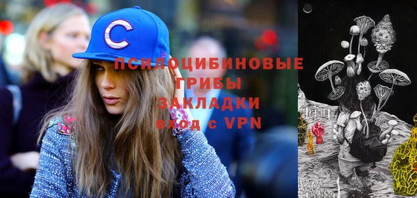 apvp Белокуриха