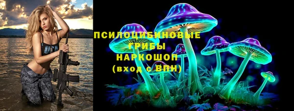 apvp Белокуриха