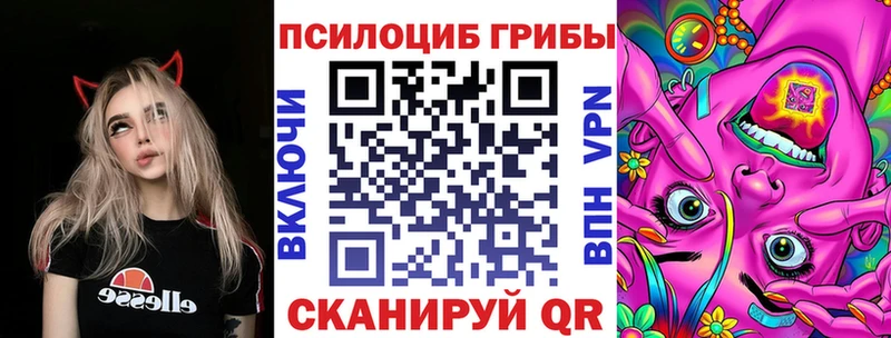 как найти закладки  Кировск  Псилоцибиновые грибы мицелий 